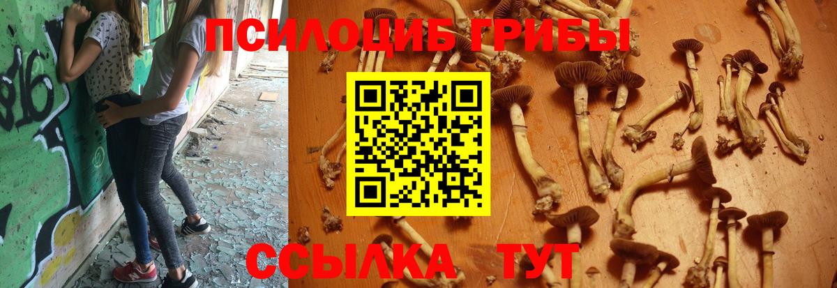 Воскресенск  Псилоцибиновые грибы Psilocybe  купить закладку  Вход с VPN 